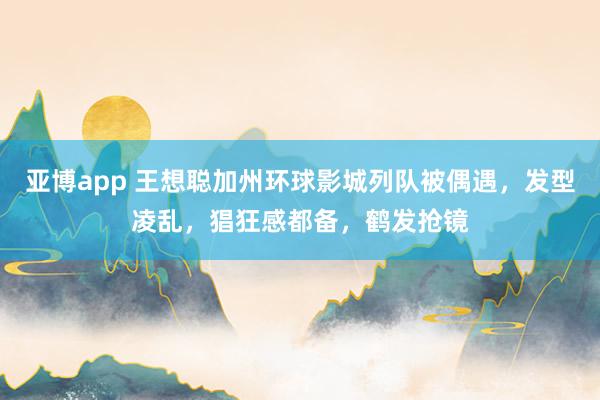 亚博app 王想聪加州环球影城列队被偶遇，发型凌乱，猖狂感都备，鹤发抢镜