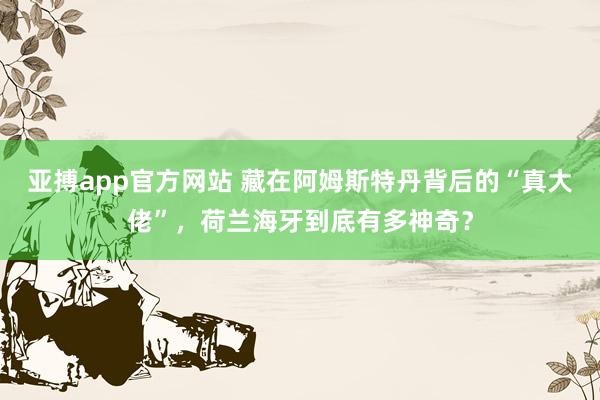 亚搏app官方网站 藏在阿姆斯特丹背后的“真大佬”，荷兰海牙到底有多神奇？