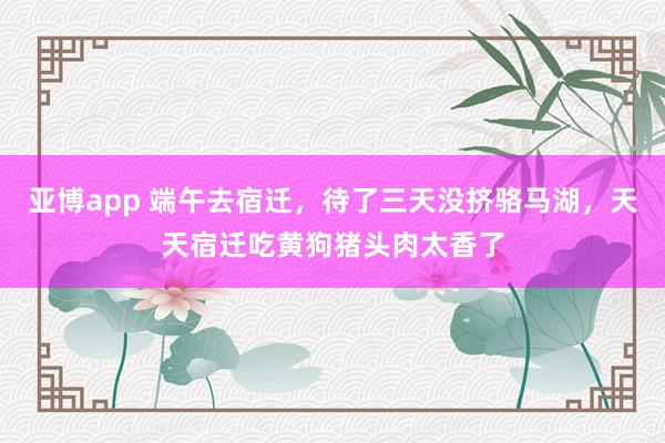 亚博app 端午去宿迁，待了三天没挤骆马湖，天天宿迁吃黄狗猪头肉太香了