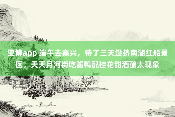 亚博app 端午去嘉兴，待了三天没挤南湖红船景区，天天月河街吃酱鸭配桂花甜酒酿太现象