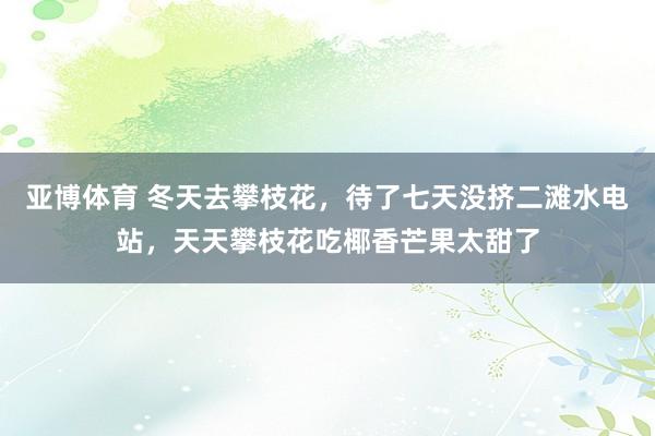 亚博体育 冬天去攀枝花，待了七天没挤二滩水电站，天天攀枝花吃椰香芒果太甜了