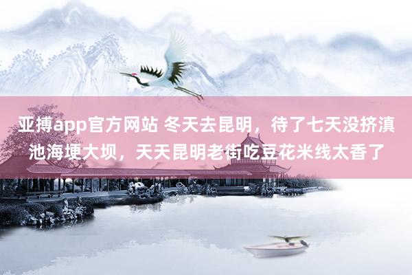 亚搏app官方网站 冬天去昆明，待了七天没挤滇池海埂大坝，天天昆明老街吃豆花米线太香了