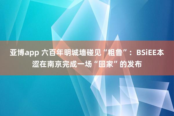 亚博app 六百年明城墙碰见“粗鲁”：BSiEE本涩在南京完成一场“回家”的发布